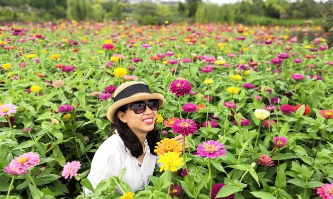 四季花开，岁月飘香（探索四季性花卉的美丽和变幻）