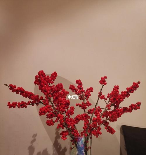 冬青开花的预示与象征意义（揭示冬青开花背后的深层含义）