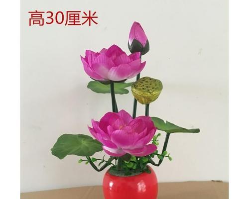 佛莲花（佛教文化中的佛莲花意义探析）