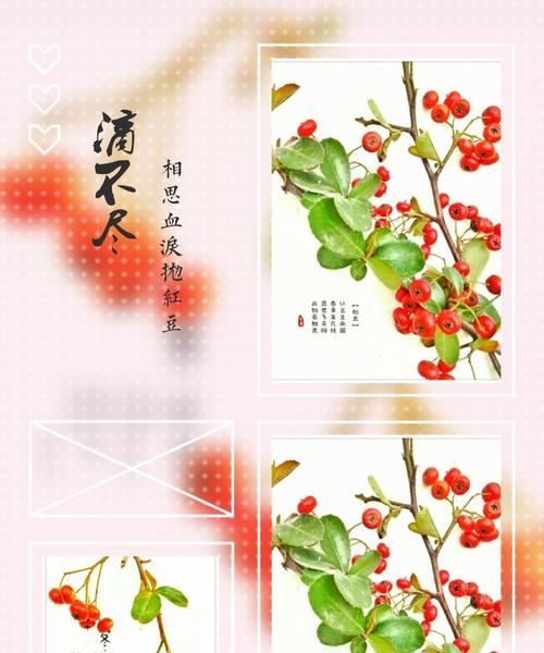 红豆寄托爱情情感（红豆的象征意义与爱情寓意）