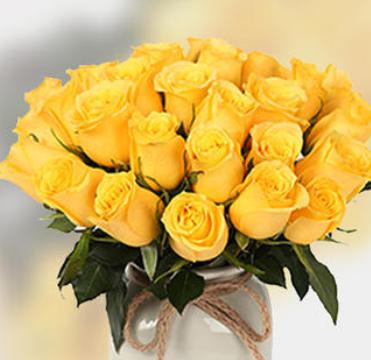 黄玫瑰花语的意义与传说（揭秘黄玫瑰所代表的感情与象征）