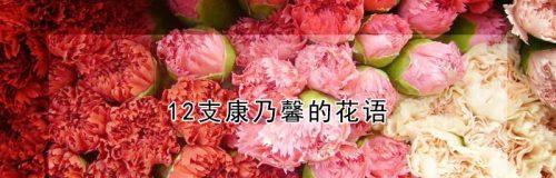 康乃馨花语与寓意——美丽与真爱的象征（康乃馨花语的意义和象征力）