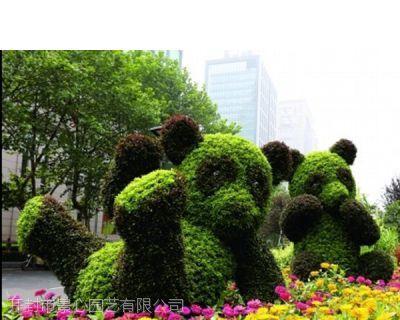 植物中的熊猫是什么（国家一级保护植物讲解）