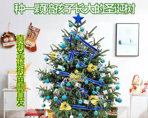 挪威云杉怎么养（挪威云杉养殖方法讲解）