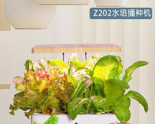 无土栽培种植技术有哪些（无土栽培植物品种介绍）