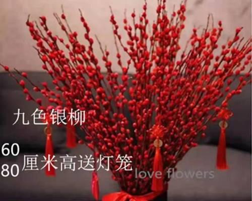 水养的花有哪些品种（适合水培的花卉推荐）