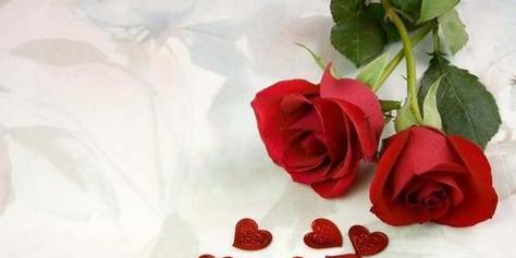 红玫瑰的花语（33朵红玫瑰散发着浓浓的爱意）