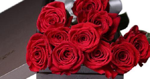 红玫瑰朵数的象征意义（用花语解读红玫瑰的数量）