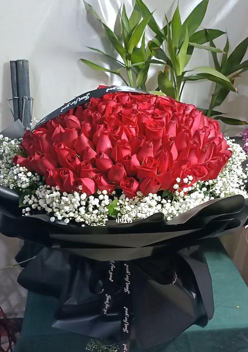 红玫瑰花的象征意义及传说（探寻红玫瑰背后的情感世界）