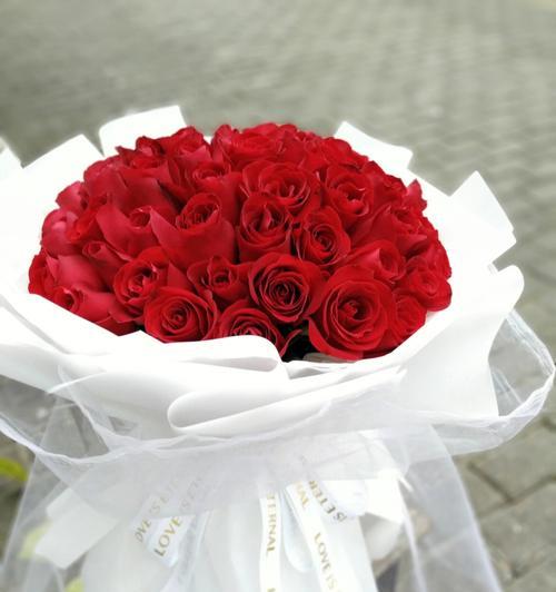 红玫瑰花的象征意义及传说（探寻红玫瑰背后的情感世界）