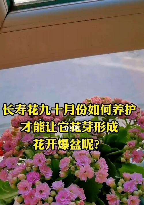 花芽分化（探索花芽分化带来的生命多样性）