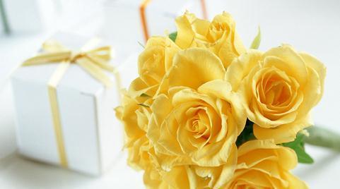 黄玫瑰花语（每朵黄玫瑰都有着独特的含义）