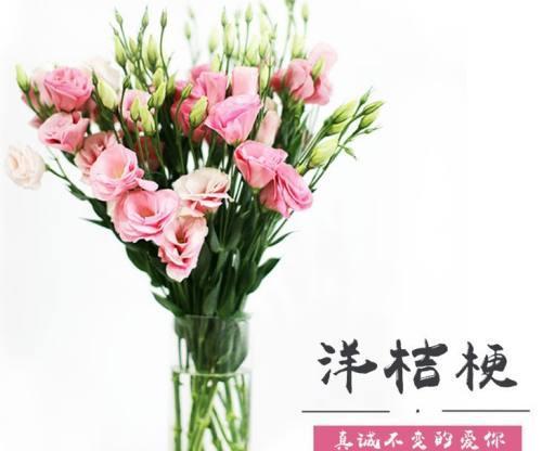 桔梗花的花语及其意义（桔梗花的五种花语及文化内涵）