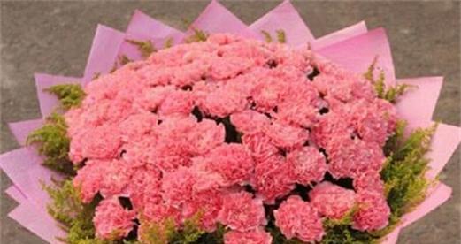 康乃馨的象征意义与表达方式（用康乃馨传递爱与美好）