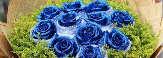 以蓝玫瑰的花语和寓意——诠释真爱与神秘（蓝玫瑰的五彩斑斓世界）