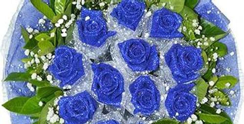 探寻蓝玫瑰的神秘花语（以蓝玫瑰花语传递无尽的温柔和希望）