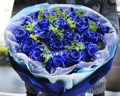 以蓝玫瑰之色彰显不拘一格的美丽（崭新的视角）