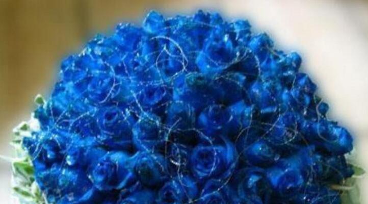 蓝色玫瑰的花语（揭示蓝色玫瑰背后的情感密码）
