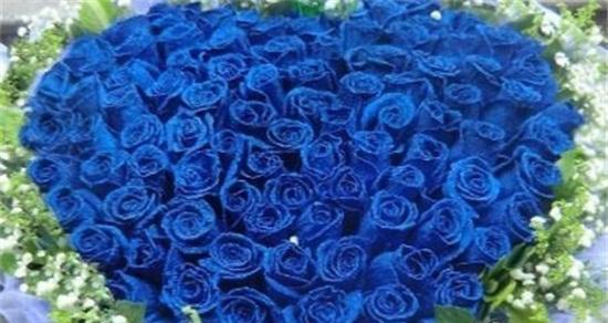 蓝色妖姬的花语与象征意义（深蓝色的魅力与神秘）