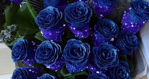蓝色妖姬的花语与象征（揭秘蓝色妖姬鲜花的意义与传递的情感）