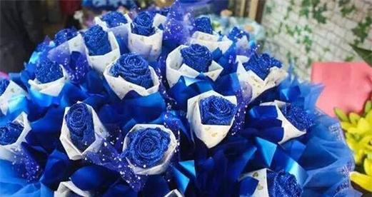 蓝色妖姬的花语与象征（揭秘蓝色妖姬鲜花的意义与传递的情感）