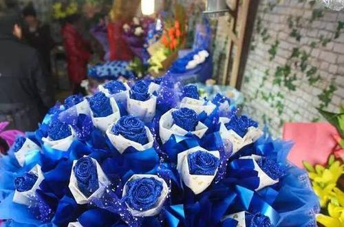 蓝色妖姬玫瑰花的花语（揭秘蓝色妖姬玫瑰花的内涵与象征）