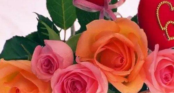 玫瑰花的花语及象征意义（探索玫瑰花的传情与神秘）