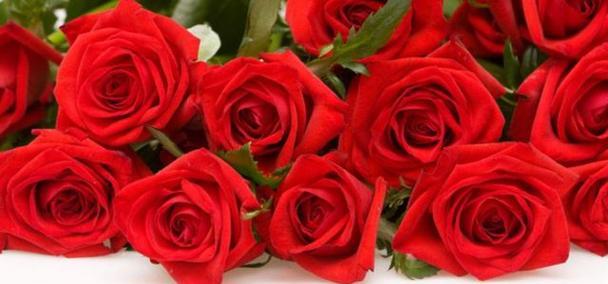 33朵玫瑰花的花语——浓浓的爱意（33朵玫瑰花的花语及其传递的情感）