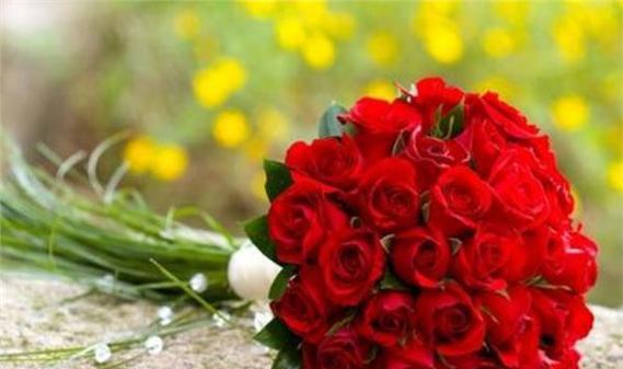 玫瑰花的花语与象征意义（揭秘玫瑰花几朵的意义与传达的情感信息）