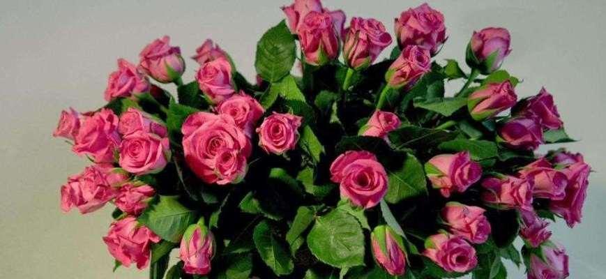 买来的鲜花怎么养活（养鲜花最简单的方法讲解）