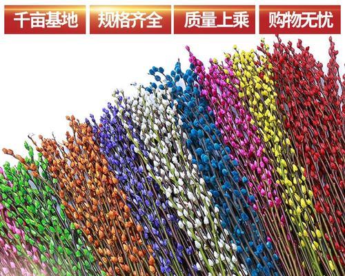 银柳发芽了怎么养（银柳的养殖方法和注意事项）