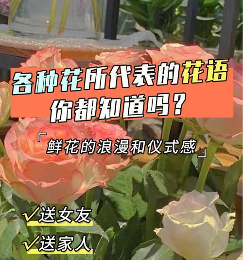 花开英勇（以表示英雄的花为主题）