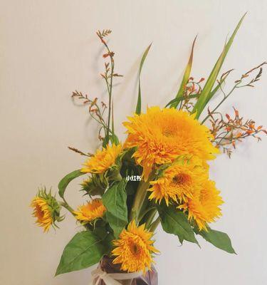花语祝愿，祈愿幸福常伴（传递祝福的花语和寓意）