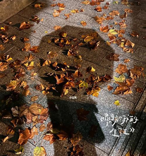 生命之美（探索花朵在死亡中展现的壮丽与坚强）