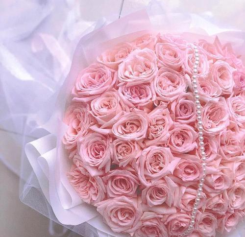 粉色玫瑰的花语及其象征意义（爱与温柔的象征）