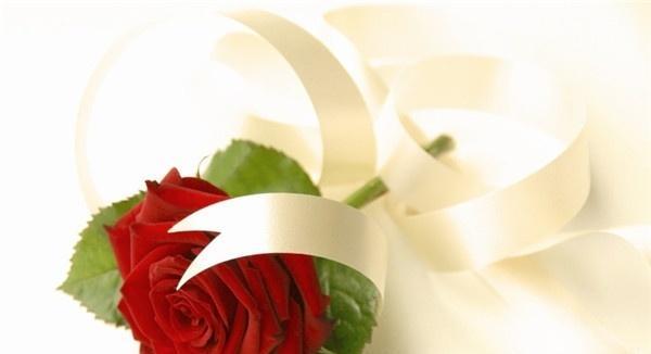 红玫瑰的象征意义与花语表示（探寻红玫瑰代表的含义及其深远影响）