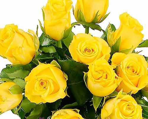 黄玫瑰花（探寻黄玫瑰花的含义与象征意义）