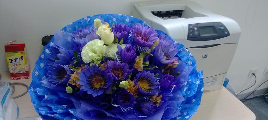 蓝色菊花（神奇的蓝色菊花）