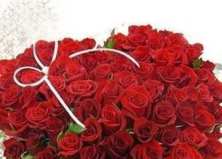 十九朵玫瑰花的花语（传递爱情和祝福的十九朵玫瑰花）