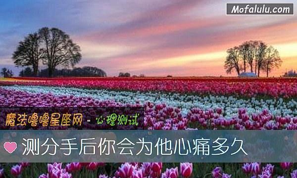 花言巧语之间，分手的代价（用百合花诉说分离的痛苦）