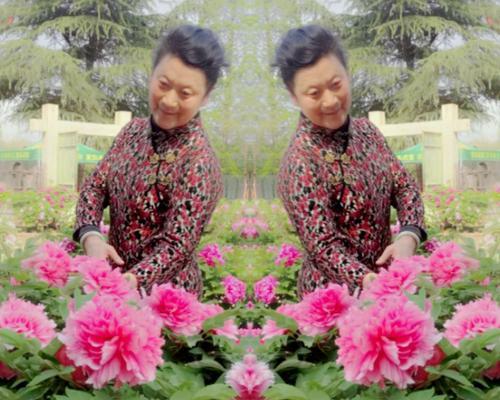 富贵之花（以花为媒）