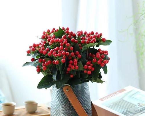 思念之花（花儿为什么成为思念的象征）