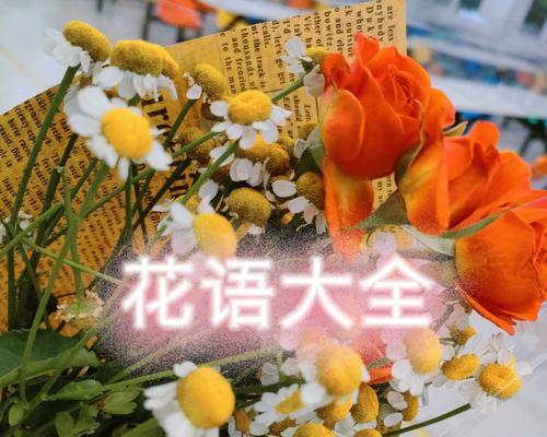 保护自我安全的花语（以菊花为象征的安全花语）