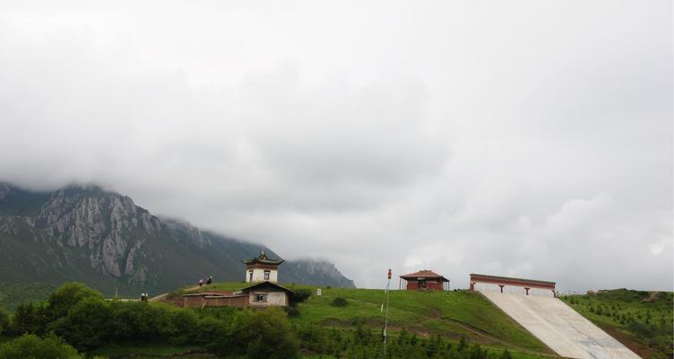 以向日葵的花语为主题的生命之旅（探寻生命的意义）