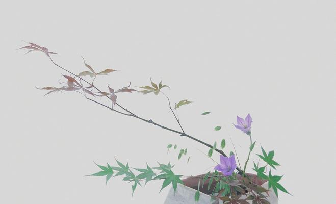 以蝴蝶兰的花语为主题的文章（展现自由的美丽——蝴蝶兰花语解读）