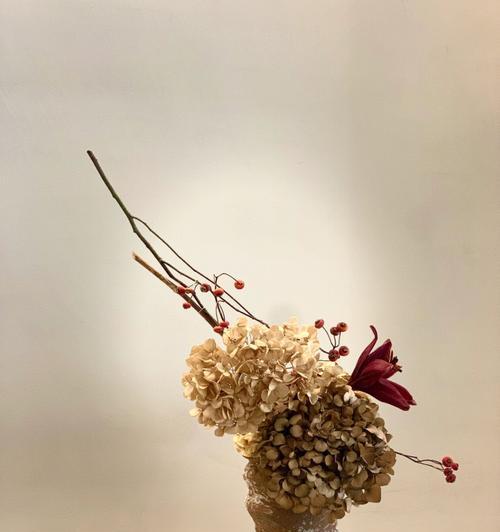 自由之花（探索花语中的自由意义）