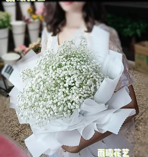 白色的满天星（寓意深远的满天星花朵与心灵的共鸣）