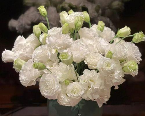 花期最长的花排名（盘点10种花期最长的花）