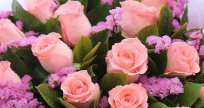 33朵粉玫瑰花语怎么写（1到100朵粉玫瑰花代表的含义）