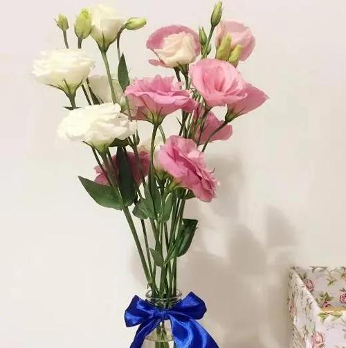 洋桔梗花语及其寓意（探寻洋桔梗的含义和象征意义）